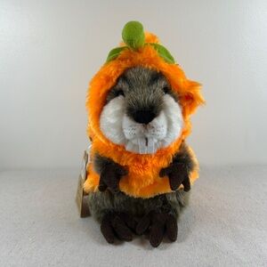 Pumpkin Halloween Costume for Small Dog Fuzzy Orange Hoodie